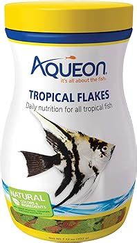Top 15 Best Foods for Guppies in 2023 (Recommended) .